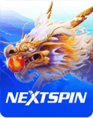 Fishing Nextspin